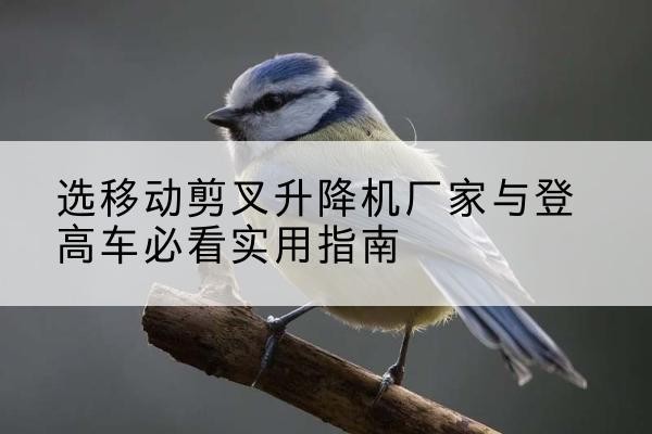 壶关电动升降机厂家-选移动剪叉升降机厂家与登高车必看实用指南