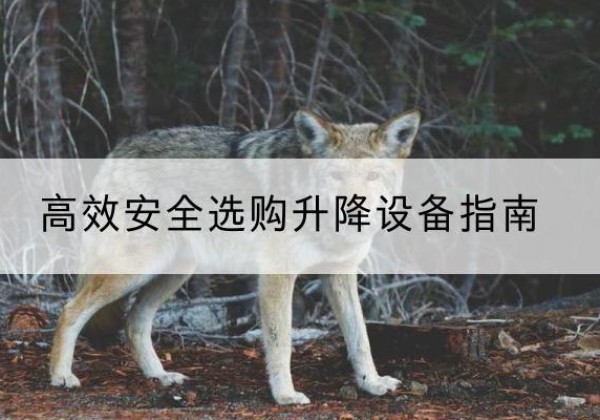 壶关升降货梯厂家推荐-*安全选购升降设备指南